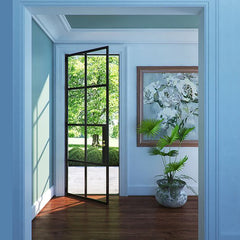 WDMA Commercial Double Leaf Iron And Glass Door