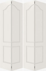 WDMA 20x80 Door (1ft8in by 6ft8in) Interior Barn Smooth 2050 MDF 2 Panel Arch Panel Double Door 2