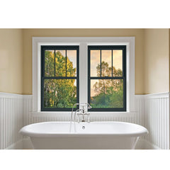 China WDMA Cheap Aluminum Storm Window For Sale