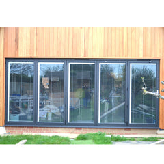 China WDMA Aluminium Folding Door